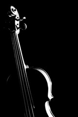 Violin Musical instruments isolated