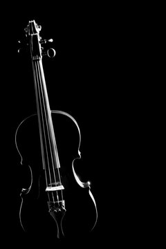 Violin Musical instruments isolated