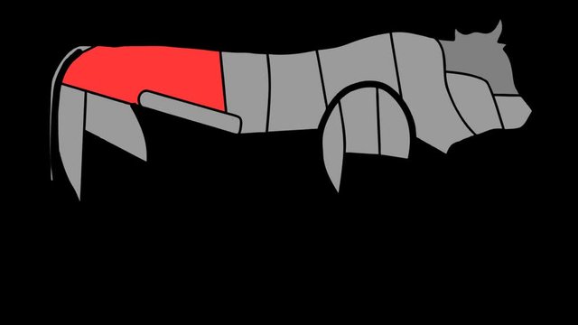 Diagrams Of Cow Body Anatomy for Cuisine Purposes in Alpha Channel