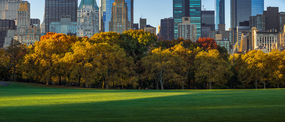 Panoramic view of Central Park Sheep Meadow in morning light with full Autumn colors. Midtown Manhattan skyscrapers, New York City