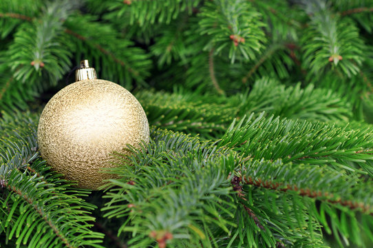 Closeup Of Green Christmas-tree And Gold Glitter Ball Decoration