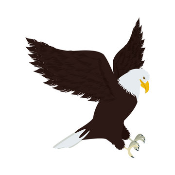 silhouette eagle in hunting position vector illustration