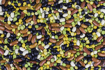 Beans in many shapes colors and sizes