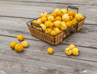 Harvest Japanese quince  on a wooden table
