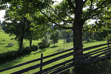 Fototapeta premium Countryside life landscape with wood fence