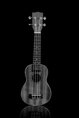 Obraz premium The black and white ukulele, clipping path