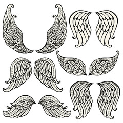 Set of angel wings
