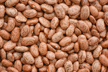 Prepared Pinto bean for cooking