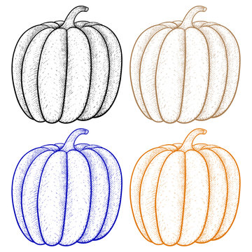 Pumpkin. Outline colored icon