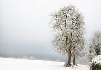 Fototapeta na wymiar winter in Lipburg