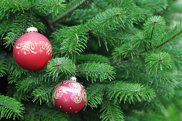 Green Christmas Tree Decorated With Red Balls Closeup