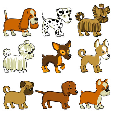 Dogs and puppies of different breeds. Cartoon style