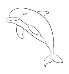 Dolphin art