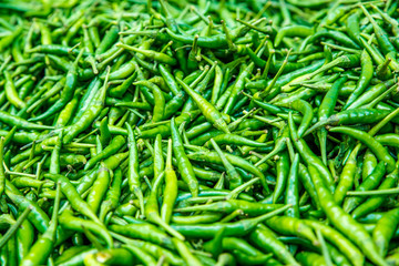 Green paprica in traditional vegetable market in India.