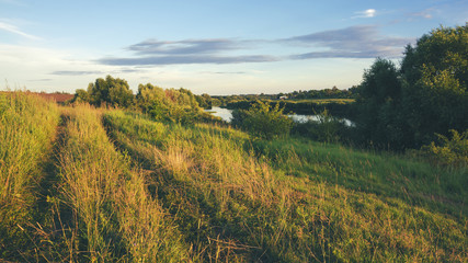 Fototapeta premium Sunny summer landscape