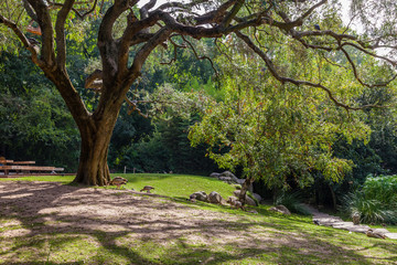 Lisbon, Portugal - October 19, 2016: Gardens of the Calouste Gulbenkian foundation. An urban park open to the public, and very popular especially among College students.
