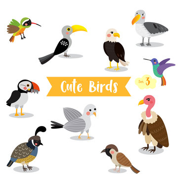Cute Birds Animal cartoon on white background. Eagle. Vulture. Sparrow. Seagull. Puffin. Quail. Hummingbird. Albatross. Xantus. Yellow-Billed Hornbill. Vector illustration. Set 3.