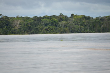 Rio Amazonas