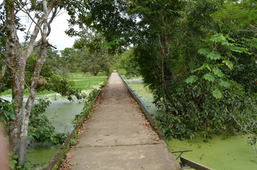 Puerto Nariño Amazonas