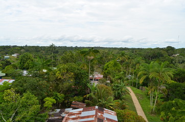 Puerto Nariño Amazonas