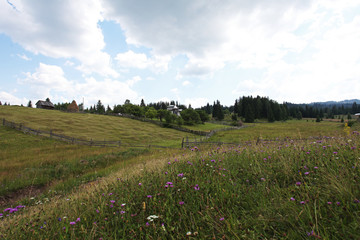 Rural meadow in Bucovina village, Romania