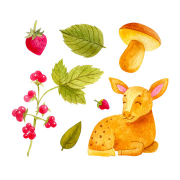 Watercolor set of cute deer with strawberries, mushroom, leaf and stoneberry