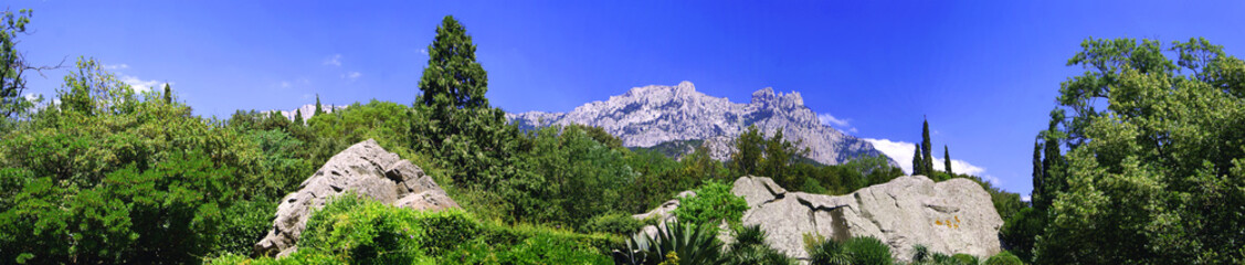 Fototapeta na wymiar Aipetri mountain panoramic view from bottom in Crimea