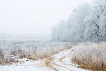Winter road in the village. Fog and frost