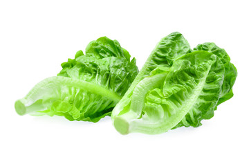 two fresh baby cos,lettuce isolated on white background