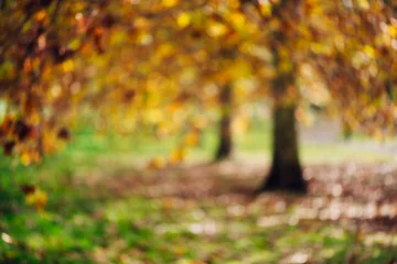 Selbstklebende Fototapete Herbst Herbstbäume, abstrakt verschwommen