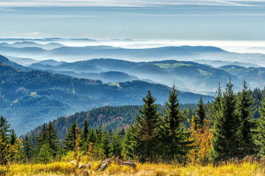 Schwarzwald-Blick von der Hornisgrinde im Herbst