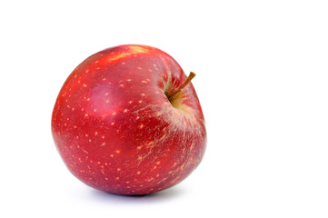 single red apple isolated on white background