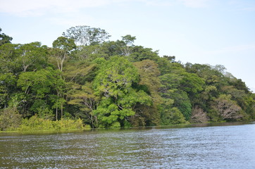 Rio Amazonas