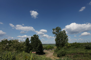 Obraz premium Country road landscape summer sky