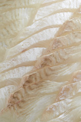 Korean sashimi