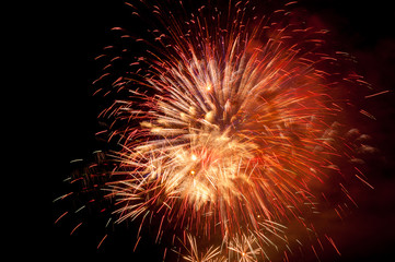 Fireworks in the night sky
