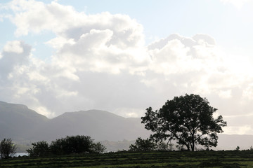 Landscape in south Norway
