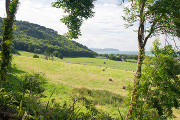Fototapete bei efototapeten.de bestellen   