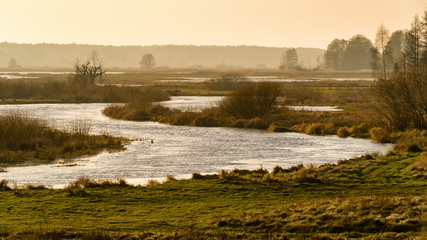 Jesień nad Narwią