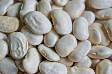 Closeup of white beans for background/texture