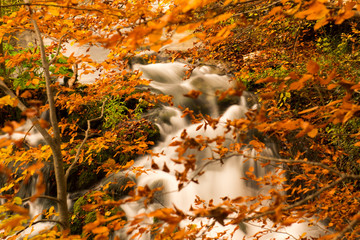 Laghi di Plitvice