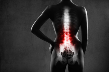 Human spine in x-ray, on gray background.