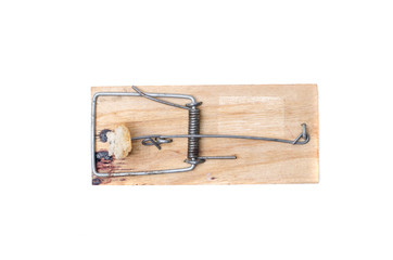 Mousetrap with bait on a white background