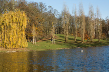 Kölner Stadtwald, Kalscheurer Weiher, Deutschland, Herbst; Cologne city forest, pond, germany,...