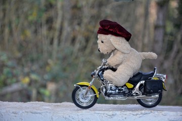 Weißer Stofftier Hund mit Kappe sitzt auf Motorrad im Freien