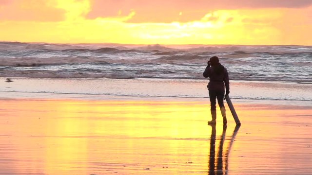 Person with clamming gun walks Pacific Ocean coastline in search for razor clams at sunset in Washington State.
