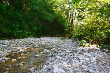 Glorious mountain creek among the southern forests