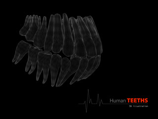 3D Illustration of Teeths , medicine and health concept design element.