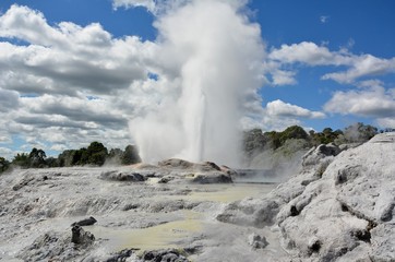 Pohutu geyser in New Zealand erupts up to 20 times a day, spurting hot water up to 30m skyward.