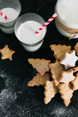 Christmas traditional cookies with milk on the table